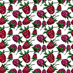 Vector Raspberry healthy food isolated. Black and white engraved ink art. Seamless background pattern.