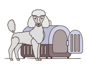 dog and pet transport box on white background