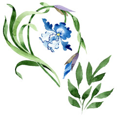 Ornament floral botanical flowers. Watercolor background illustration set. Isolated flower illustration element.