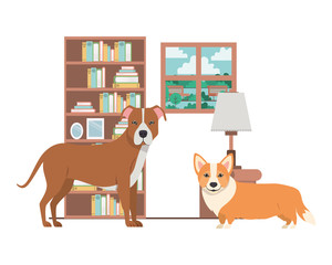 cute and adorable dogs in living room