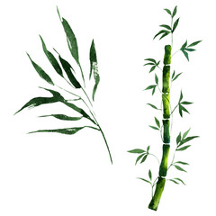 Bamboo green leaves and stalks. Watercolor background illustration set. Isolated bamboo illustration element.