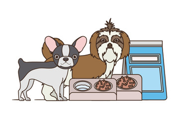 dogs and pet transport boxes on white background