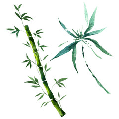 Bamboo green leaves and stalks. Watercolor background illustration set. Isolated bamboo illustration element.