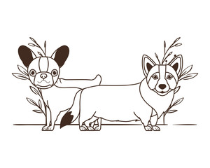 silhouette of cute and adorable dogs with leaves background