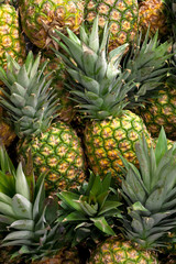A group of ananas in a market