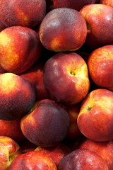 Bunch of Nectarines in a market