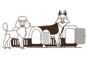 silhouette of dogs and pet transport boxes on white background