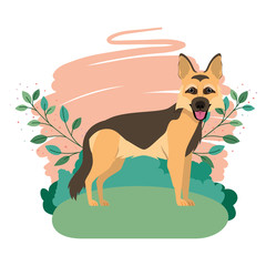 cute pastor aleman dog with background landscape