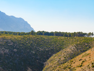 Mediterranean hills with trees