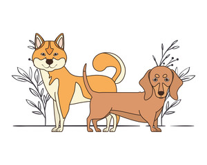 cute and adorable dogs with leaves background