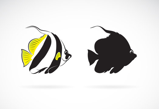 Vector of schooling bannerfish (Heniochus diphreutes) on white background. Animal. Undersea animals. Easy editable layered vector illustration.