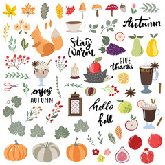 Collection of hand drawn fall elements, animals, pumpkins, ripe fruits, mushrooms, flowers, floral branches and lettering phrases on modern sketch style