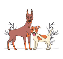 cute and adorable dogs with leaves background