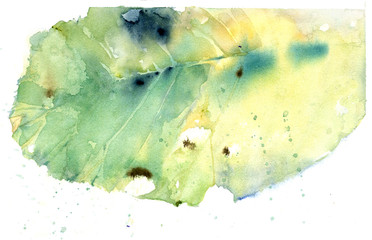 autumn leaf, watercolor, isolated drawing - 287512952