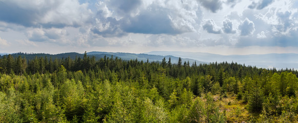 Nice panoramic view to summer czech forest with trees and distant hill, Sumava national park