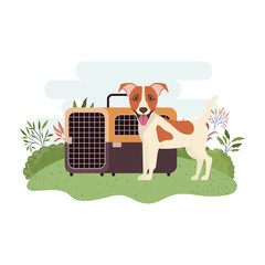 dog and pet transport box with background landscape