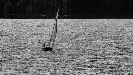 Black and white view of a sailboat sailing on Lake Maggiore in Italy, taking advantage of the wind that ripples the water
