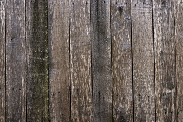 The texture of an old unpainted wall of wooden boards . Lots of knots in the boards