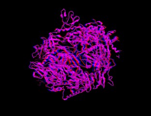 Molecular structure of Exosome complex