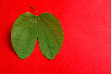 Happy Dussehra greeting card , green leaf and rice