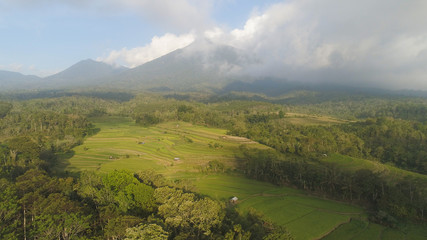 Fototapeta premium rural landscape with farmlands, rice terraces against mountains. Aerial view agricultural land on mountainside. tropical landscape Bali, Indonesia.