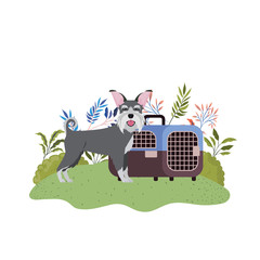 dog and pet transport box with background landscape