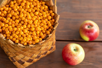 Harvesting berries in the fall. Full basket with orange sea buckthorn berries