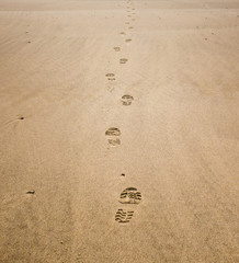 trace dans le sable