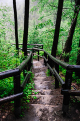 Pfad zum Aussichtspunkt