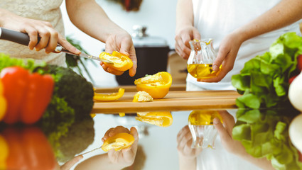 Closeup of human hands cooking in kitchen. Mother and daughter or two female friends cutting vegetables for fresh salad. Friendship, family dinner and lifestyle concepts