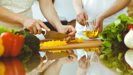 Closeup of human hands cooking in kitchen. Mother and daughter or two female friends cutting vegetables for fresh salad. Friendship, family dinner and lifestyle concepts