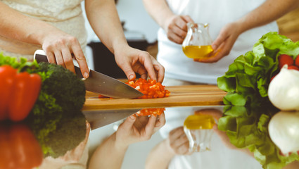 Closeup of human hands cooking in kitchen. Mother and daughter or two female friends cutting vegetables for fresh salad. Friendship, family dinner and lifestyle concepts