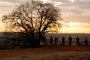 Fototapeta premium Fotografos fotografiando un atardecer. Situacion real de grupo de fotografos haciendo fotos a un paisaje del skyline de una ciudad europea, Madrid