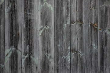 The texture of an old unpainted wall of wooden boards . Lots of knots in the boards