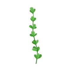 Thin stalk with small leaves. Vector illustration on a white background.