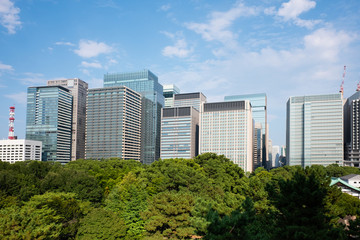 Fototapeta premium Skyscrapers in Marunouchi, Tokyo, Japan.