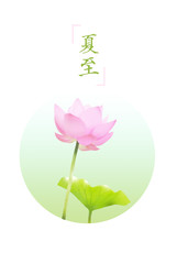 Summer, summer, lotus, mint, cool, fresh, pure, lotus, summer solstice, hot, refreshing, cool, cool, illustration, summer,