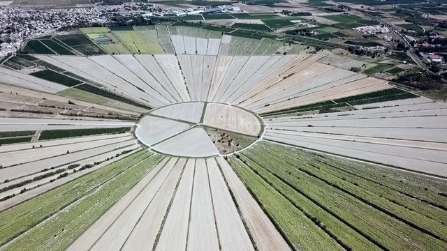 Aerial view of the circular fields of the drained lake of Montady, France, Europe.