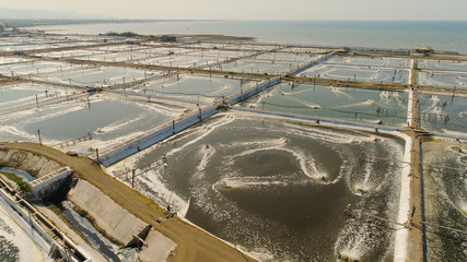 shrimp farm, prawn farming with with aerator pump oxygenation water near ocean. aerial view fish farm with ponds growing fish and shrimp and other seafood. Fish hatchery pond aerial view aquaculture