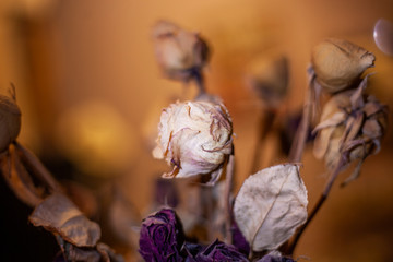 Dried flowers. Bouquet of flowers withered at home. Withered petals of beautiful roses.