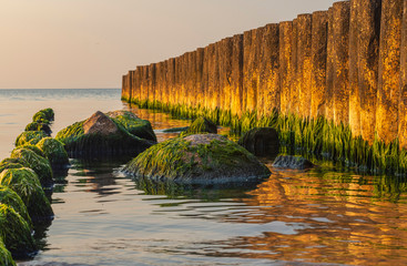 Part of the sea coastal landscape with algae and breakwater