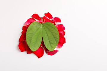 Happy Dussehra greeting card , green leaf and rice