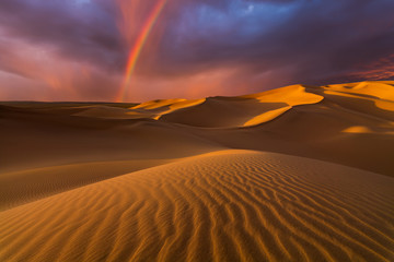 Sunset over the sand dunes in the desert