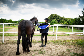 Horse riding. Saddle a horse. The woman puts on a saddle.