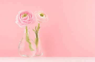 Gente pastel pink ranunculus bouquet in elegant  glass vase on soft light white wood board and pink wall.