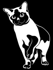 Black abstract cat stencil