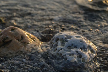The Pebbles on the beach at Sea