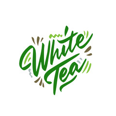 White tea hand drawn illustration. Template for card banner and poster for restaurant menu and package. Vector illustration