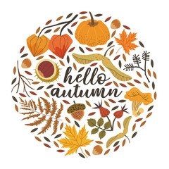 Hello autumn print  for pillow, mug, greeting card, t-shirt design with floral forest and harverst illustrations such as girolle, chestnut, acorn, fern,pumpkin, brier, maple leaves in a circle frame.