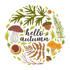 Hello autumn print  for pillow, mug, greeting card, t-shirt design with floral forest harverst illustrations such as cepe, girolle, chestnut, acorn, arborvitae, pine tree branch in a circle frame.